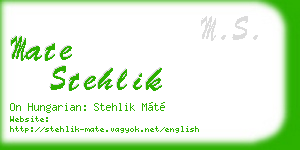 mate stehlik business card